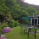 완두콩가족펜션 이미지