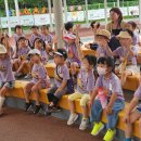 시립생명숲어린이집 이미지