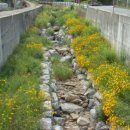 운학1리 경로당 이미지