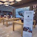 경북케리어