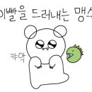 김젓갈삼겹살