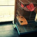 본리종합동물병원 이미지