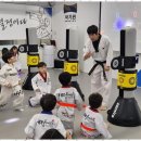 세정태권도