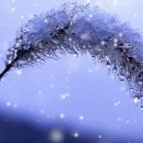 🏝아로하🏝 (cool) 이재훈 이미지