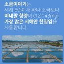 [소금이야기] 프리미엄 미네랄 허브솔트 요리가 달라지는 허브솔트 추천