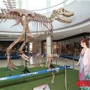 안면도쥬라기공원 이미지