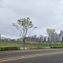 지제초등학교병설유치원 이미지