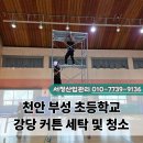 부성 세탁 이미지