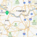스타일독앤캣 강아지고양이 경기광주점 이미지