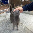 청아가든 이미지