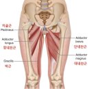이너멜 이미지