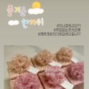광주호연한의원 네이버블로그