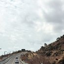 한라산콘도미니엄 | 걷기 부담 없는 제주 여행 코스 부모님과 2박3일 힐링 일정 추천!