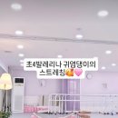 목동세종발레학원 네이버블로그