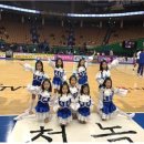 서울특별시체육시설관리사업소 더쎈뉴스