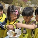 사회적협동조합 세화 네이버블로그