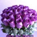 2026년 5월 16일~17일 주말 출석하세요~♡ 이미지