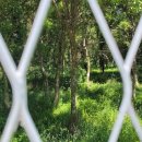 철원전기 주식회사 이미지