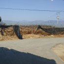 인리소류지 이미지