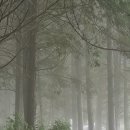 GROOMING 107 이미지