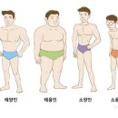 너네 태양인 태음인 소양인 소음인 중에 뭐인거같음 이미지