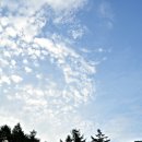 설매재자연휴양림 이미지