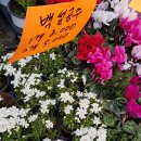 부림시장 이미지