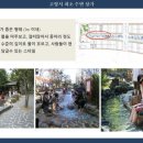 일산호수공원 가로수길 이미지