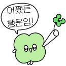 막창1981
