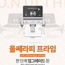 라임피부