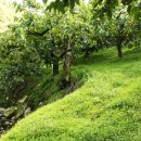 외길농장 이미지