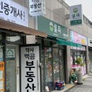 샐피약사점