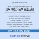 쉼필 네이버블로그