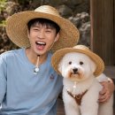 괴란말이도 좋다아이가? ❤️+댓글 🙏🩵 이미지
