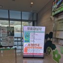 호랑이 | 경북 봉화 가볼 만한 곳 아이랑 겨울여행 국립 백두 대관 수목원 호랑이 관람 후기