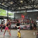 FORCE GYM(포스짐) 이미지