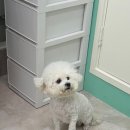 이쁘니미용실 이미지