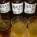 향정원 이미지