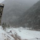 통나무 민박 이미지