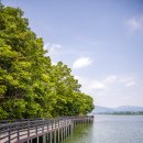 지곡초교 삼거리 이미지