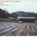 가음초등학교 병설유치원 이미지