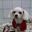 똘이살롱 이미지