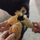 선우정아 콘서트 이미지