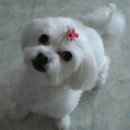 서교동물병원 이미지