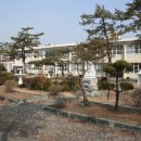 적중초등학교 이미지