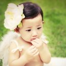 어메이징스튜디오 Daum카페