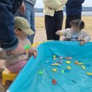 안현로 | &lt;경주 키즈 이색체험&gt; 카라향따기 체험농장 &#39;꿈자람농원&#39; 다녀왔어요