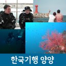 남애 스쿠버리조트 이미지