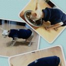 오니