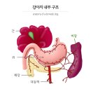 다나을동물병원 이미지